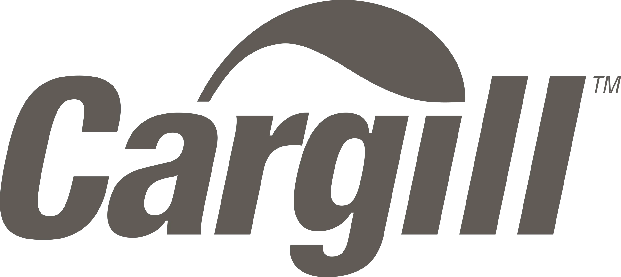 cargill scaled